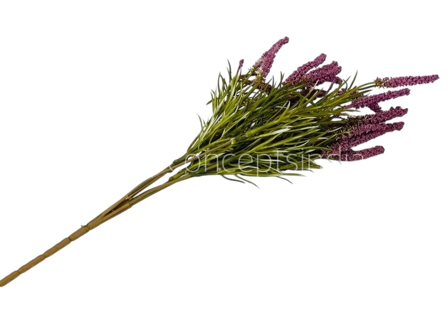 Leaves Bunch with Frosted Conifers