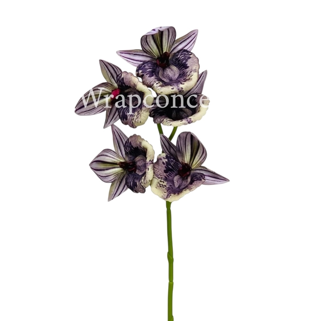 Orchid Sticks - Multicolor