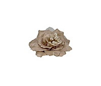 Beige Gold Rose With Pearls Center