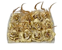 Light Gold Rose With Feather & Pearl String