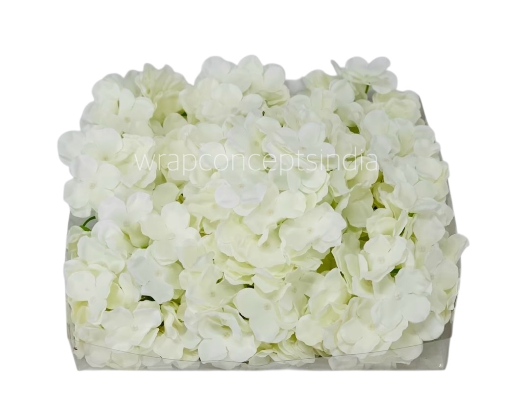 White  Hydrangeas