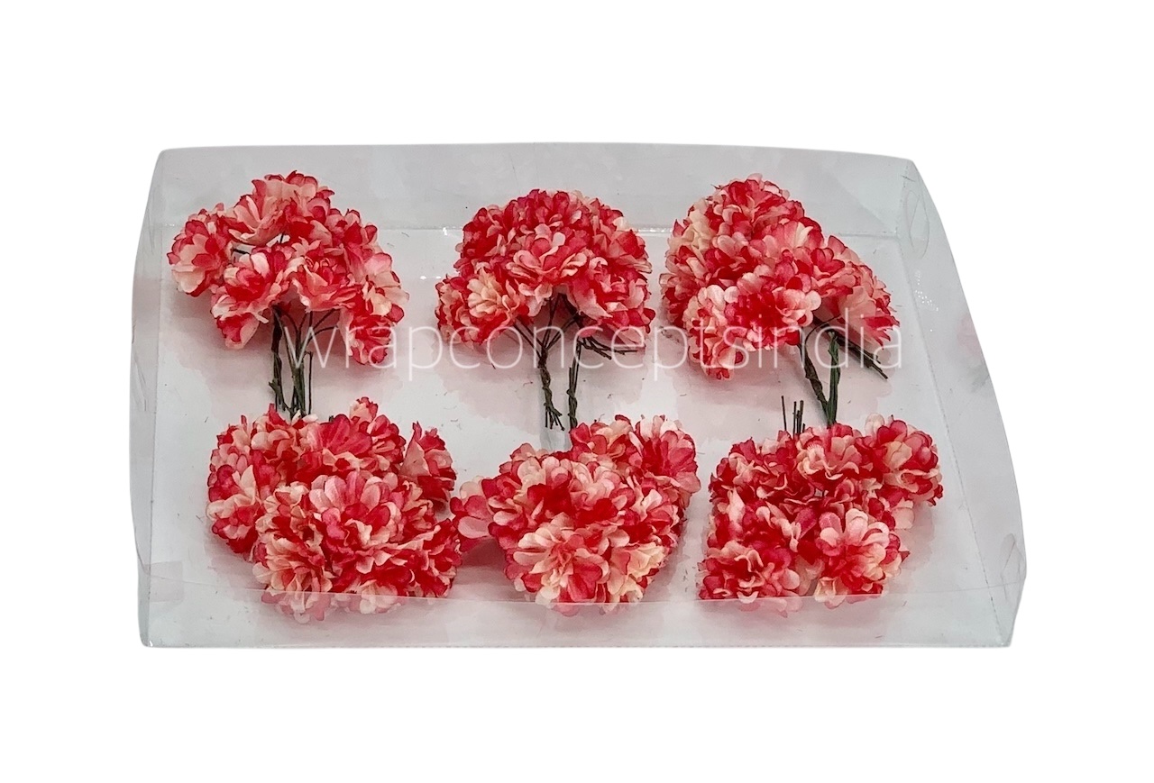 Chrysanthemum - Ivory & Coral Shaded Chrysanthemum - Ivory & Coral Shaded