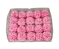 Carnation - Bubblegum Pink