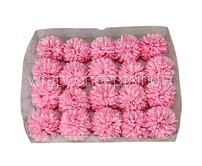 Carnation - Bubblegum Pink