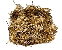 Gold Fan Shaped Palm Leaves -