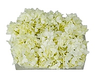 Ivory Hydrangeas