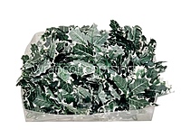 Green & White Shaded Birch Leaves