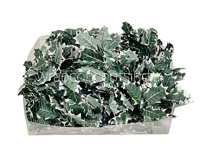 Green & White Shaded Birch Leaves