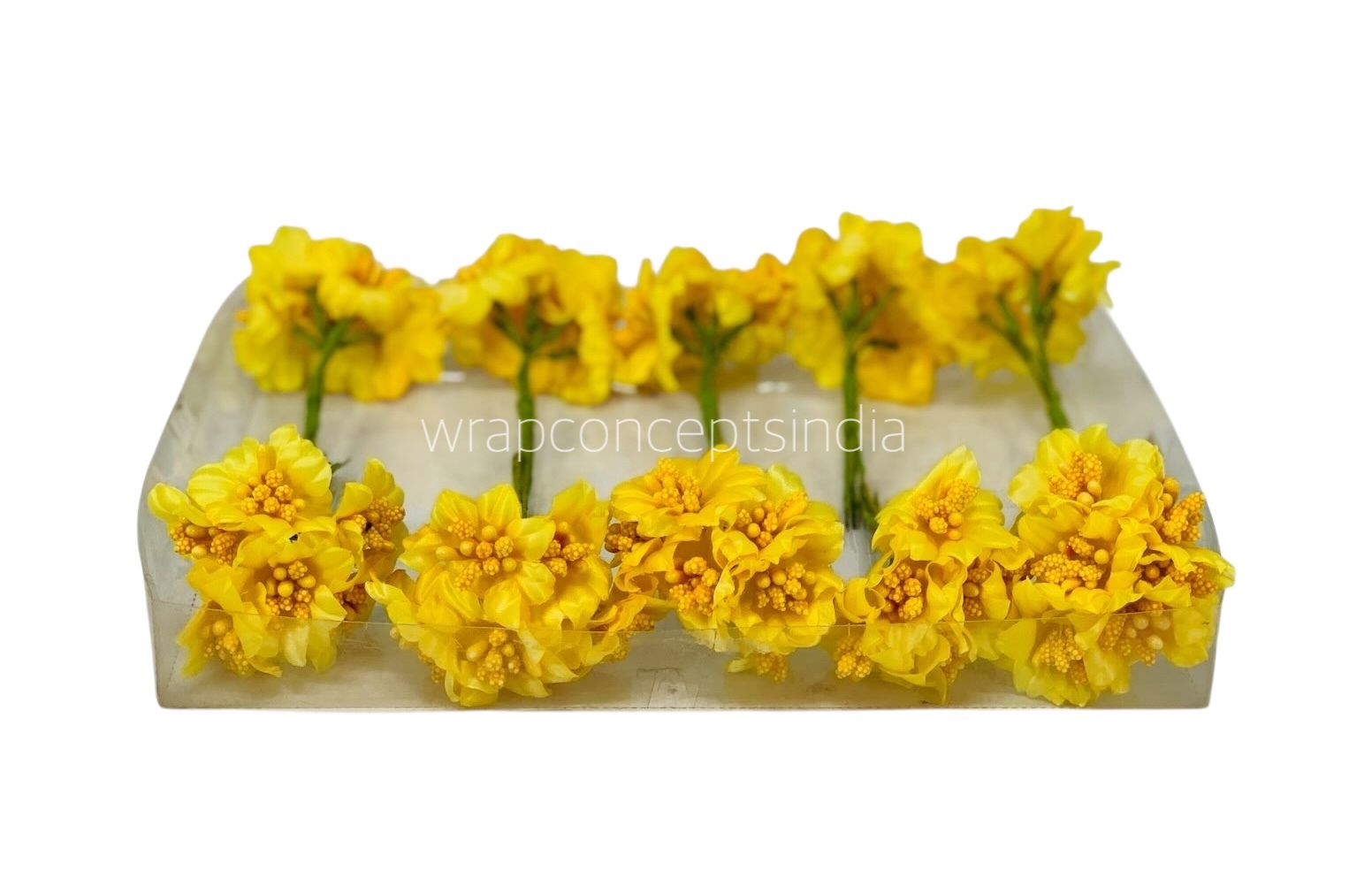 Yellow Flower with Yellow Pollen