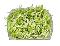Trio Frosted Fern Leaves - Ivory