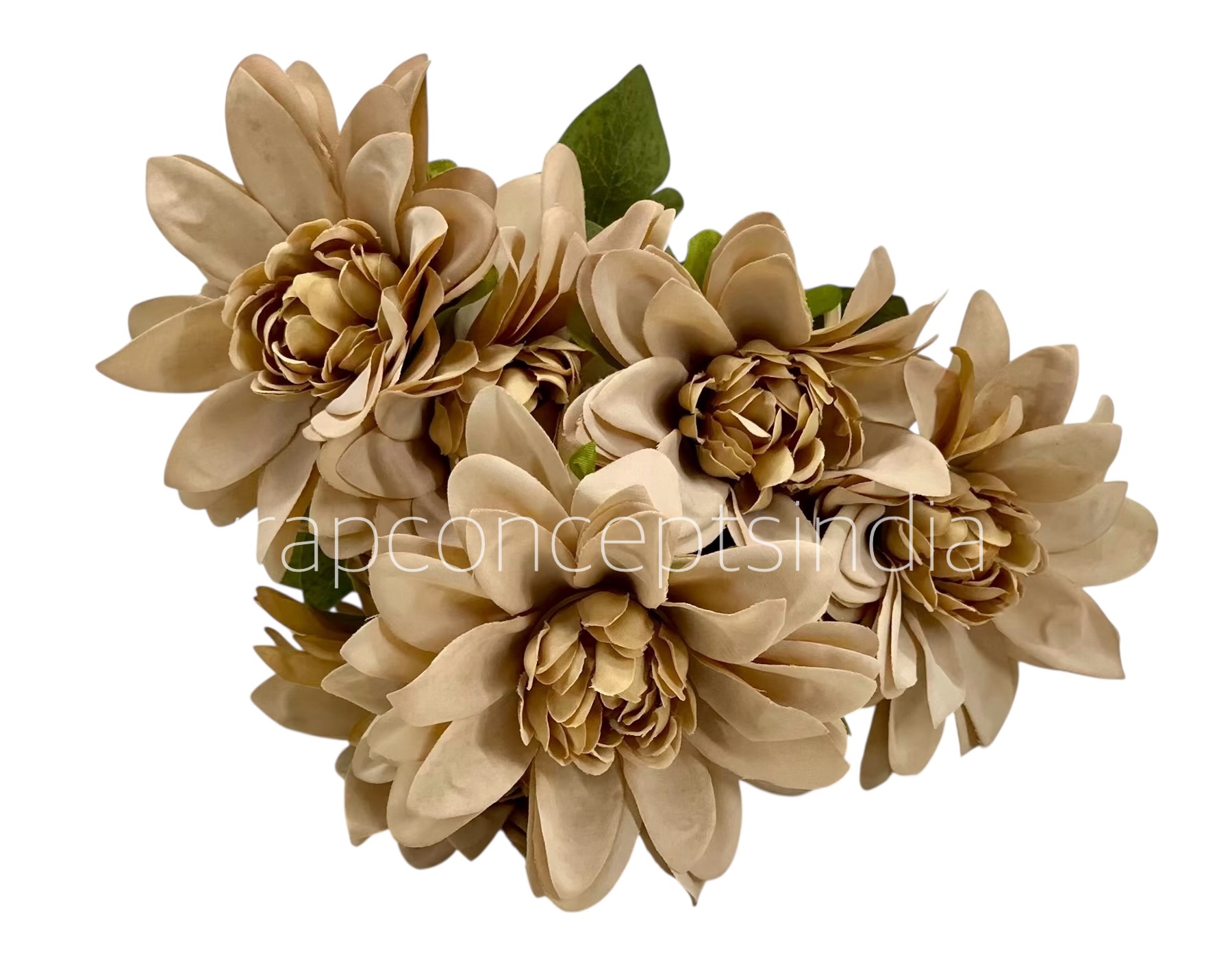 Dahlia Bunch with Leaves Dahlia Bunch with Leaves