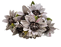 Dahlia Bunch with Leaves-Milky White