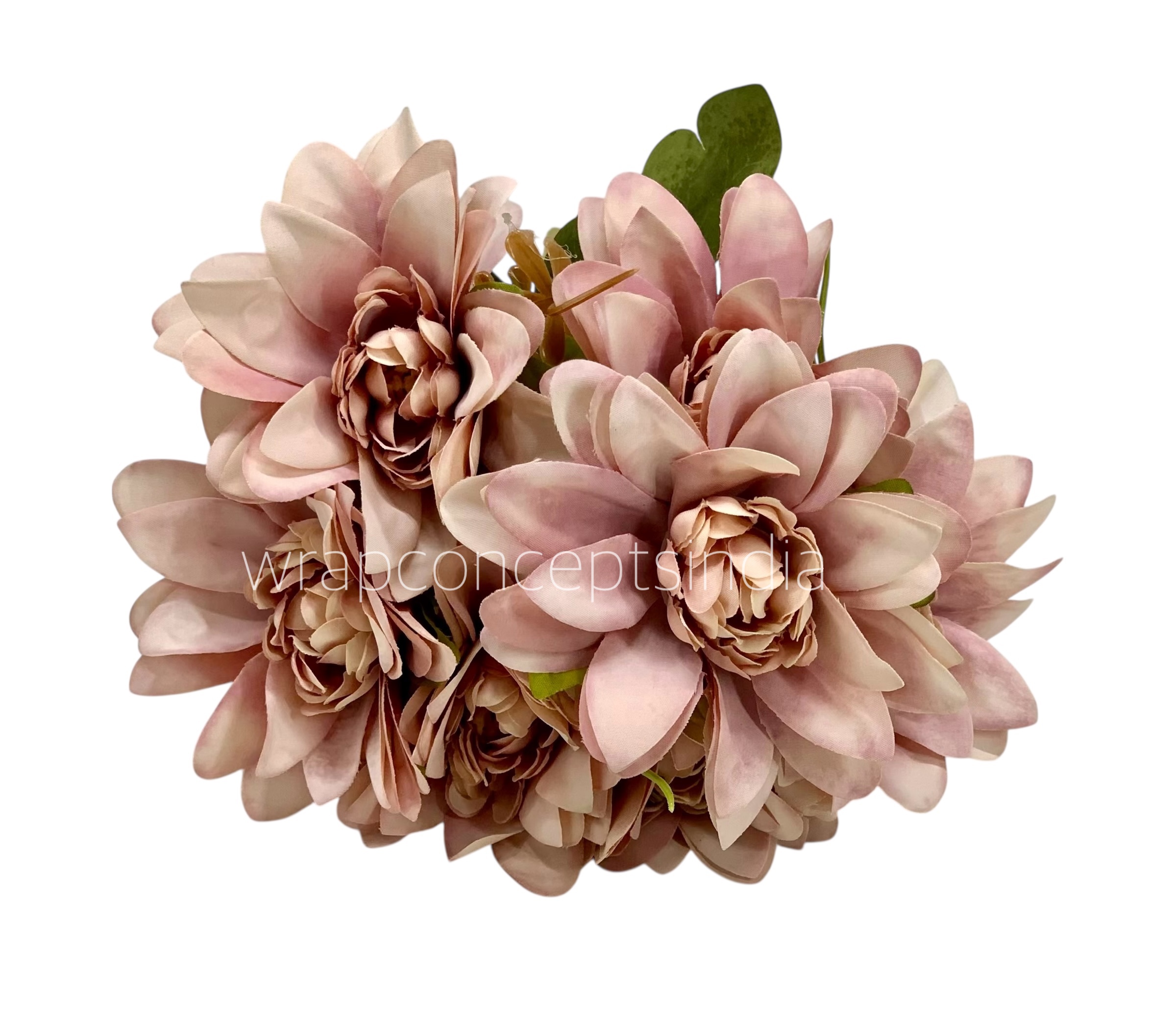 Dahlia Bunch with Leaves Dahlia Bunch with Leaves