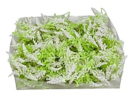 Trio Frosted Fern Leaves - White