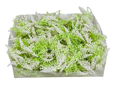 Trio Frosted Fern Leaves - White