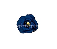Navy Blue Open Rose