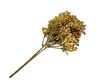 Frosted Heather Bush-Rust