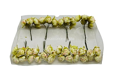 Lime with hints of Pink Close Peony