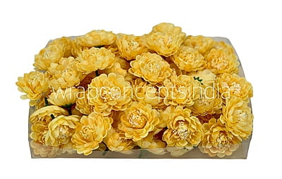 Banana Small Dahlias