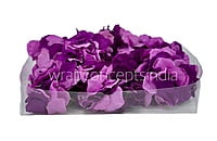 Hydrangeas - Shaded Purple