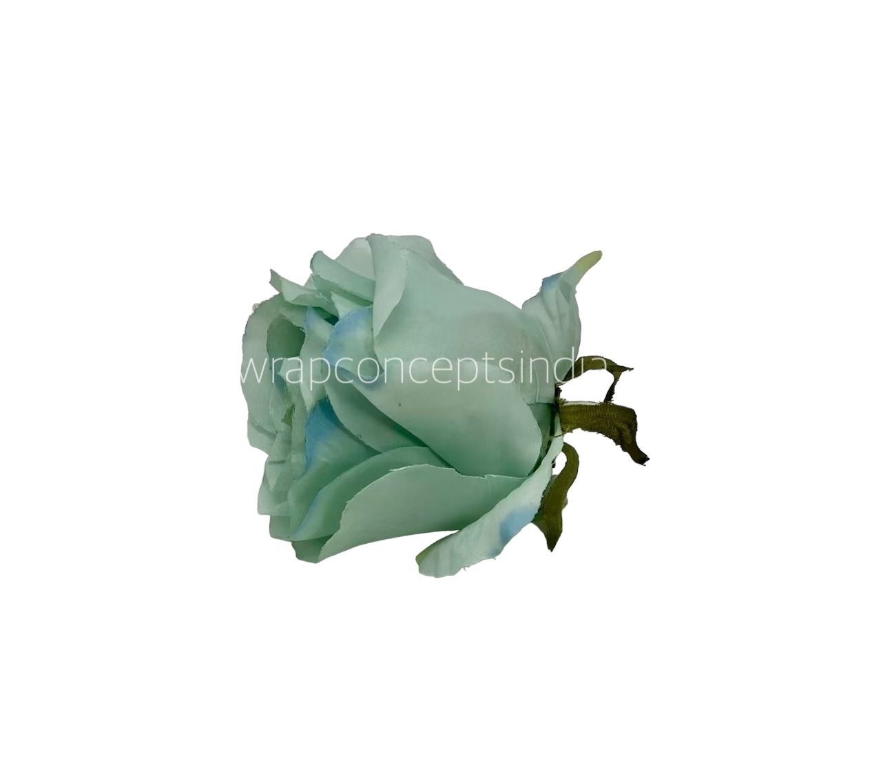 Seafoam Rose Flower