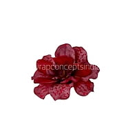 Cherry Red Textured Petunias