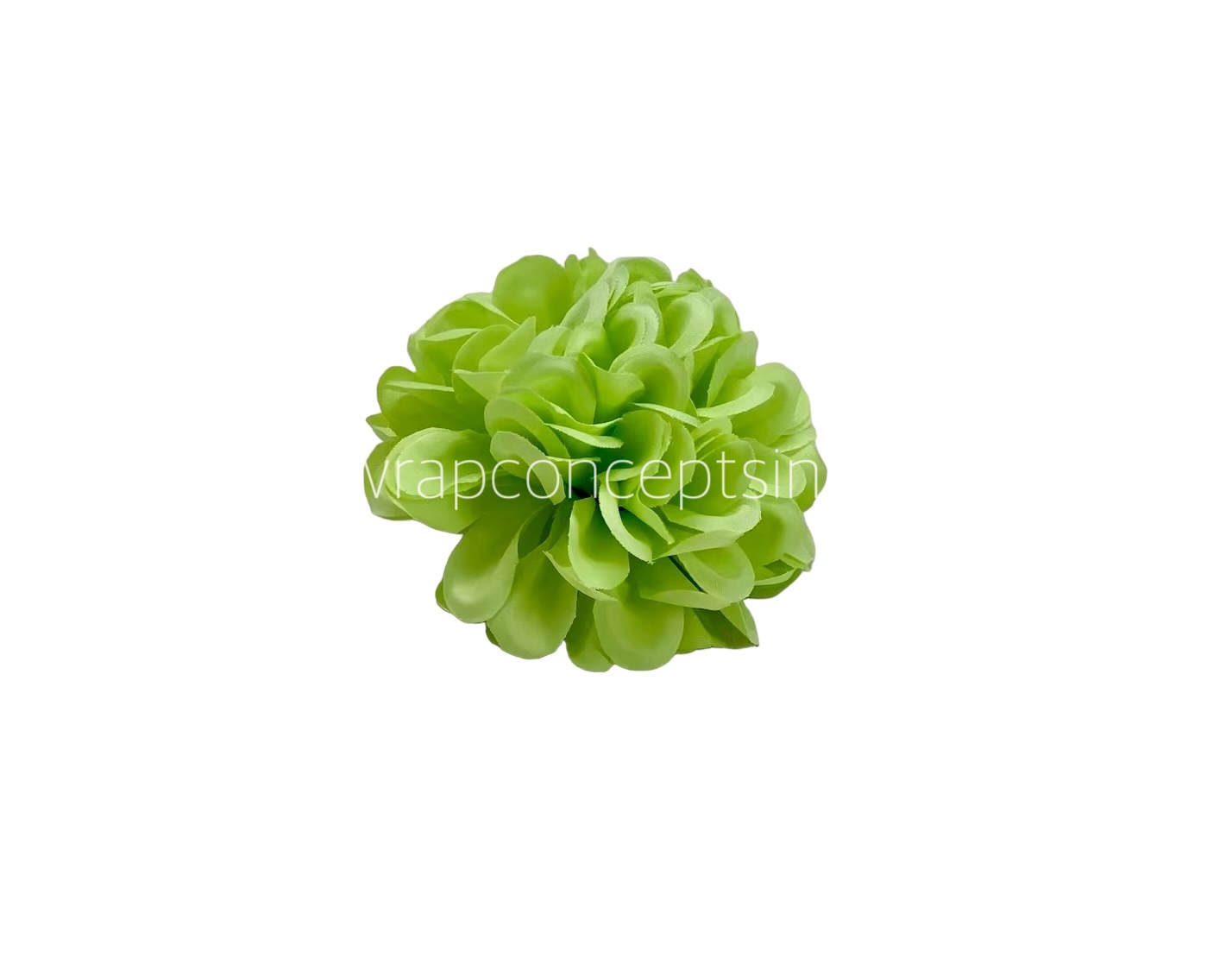Lime Carnation