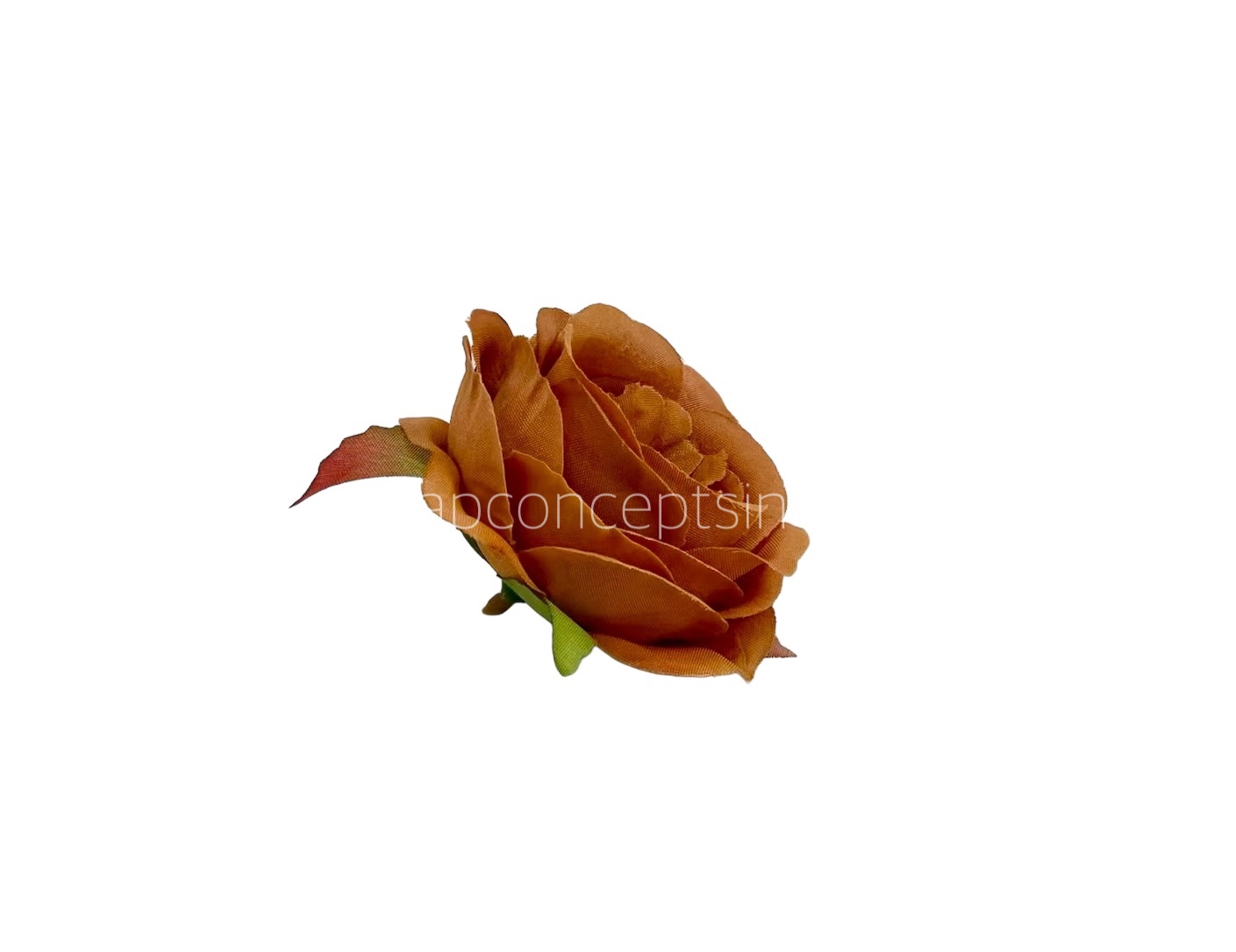 Caramel Camellia Flower