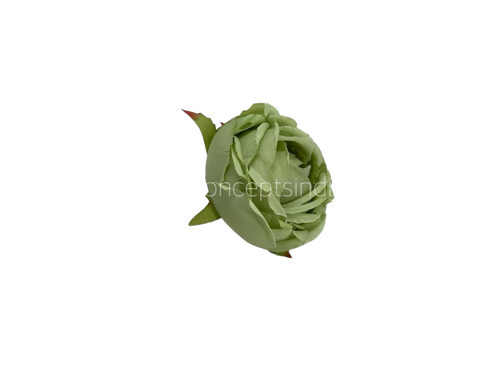 Fern Green