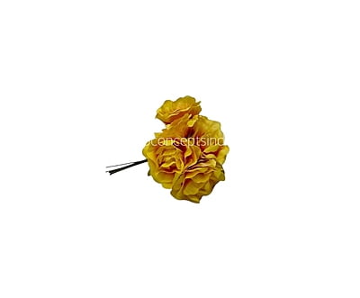 Yellow with Orange Small Roses