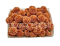 Small Carnation - Tan