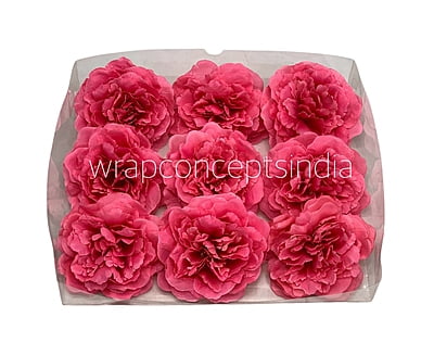 Fuchsia  Moutan Peony