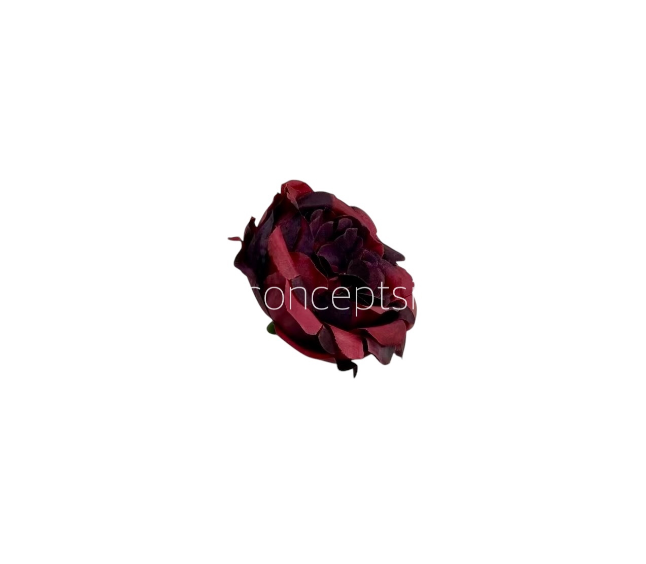 Deep Maroon Small Ornate Peonies