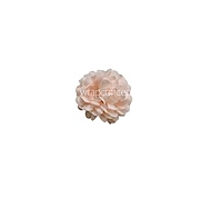 Small Carnation - Soft Peach