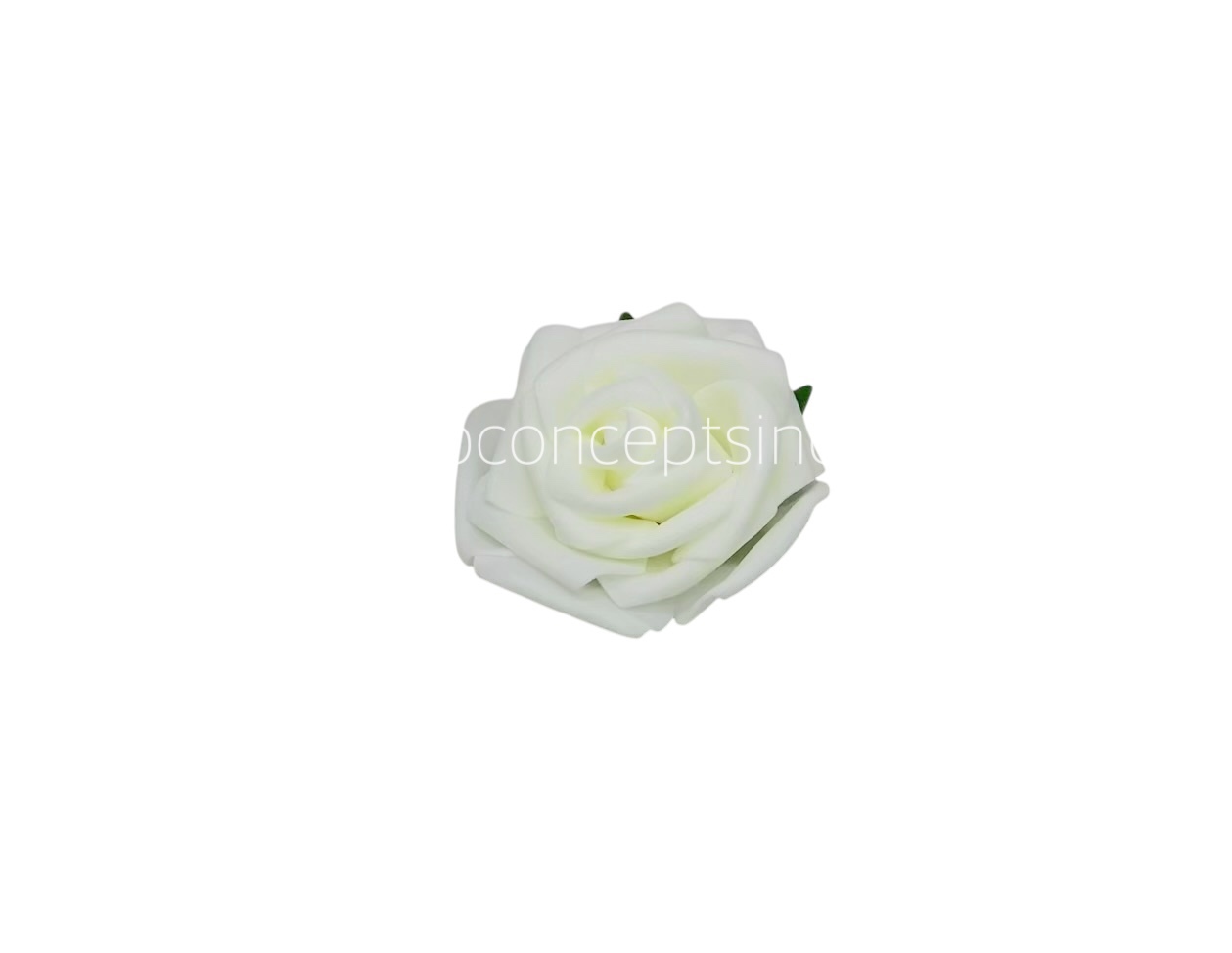 Ivory Medium Foam Rose