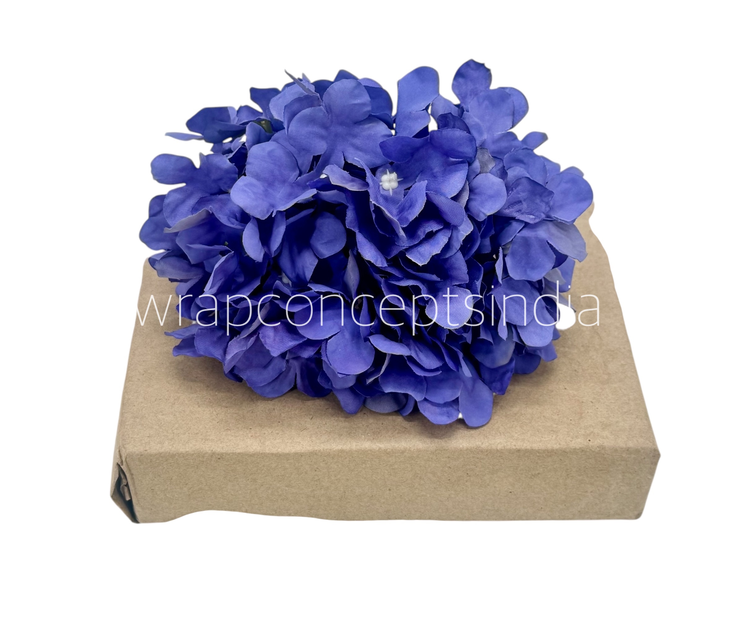 Royal Purple Hydrangeas