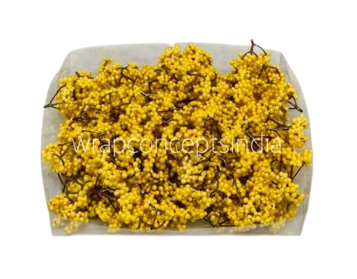 Yellow Small Fern