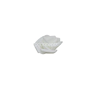 White Medium Foam Rose