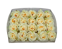 Rose Small – Lemon