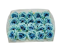 Rose -Tiffany & Sky Blue