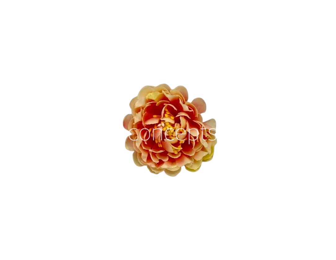 Peach with Lemon Small Dahlias