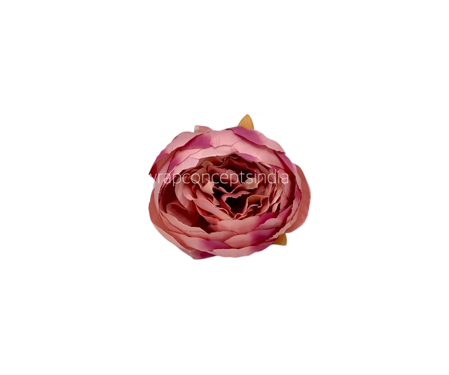 Peony - Flamingo