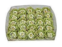 Green Open Rose