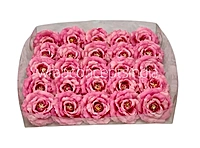 8017 - Rose Flower - Peach