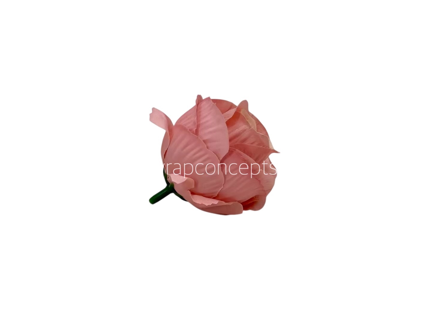 Peach with Cream Rose Buds