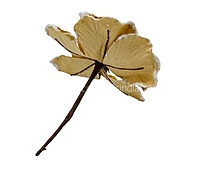 Velvet Flower With Frosted Edges & Center