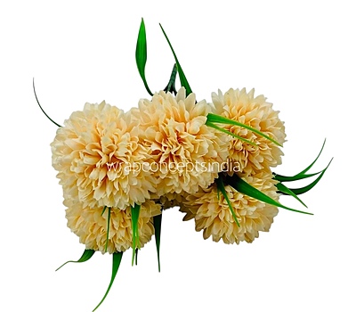 Carnation Bunch - Mullticolour