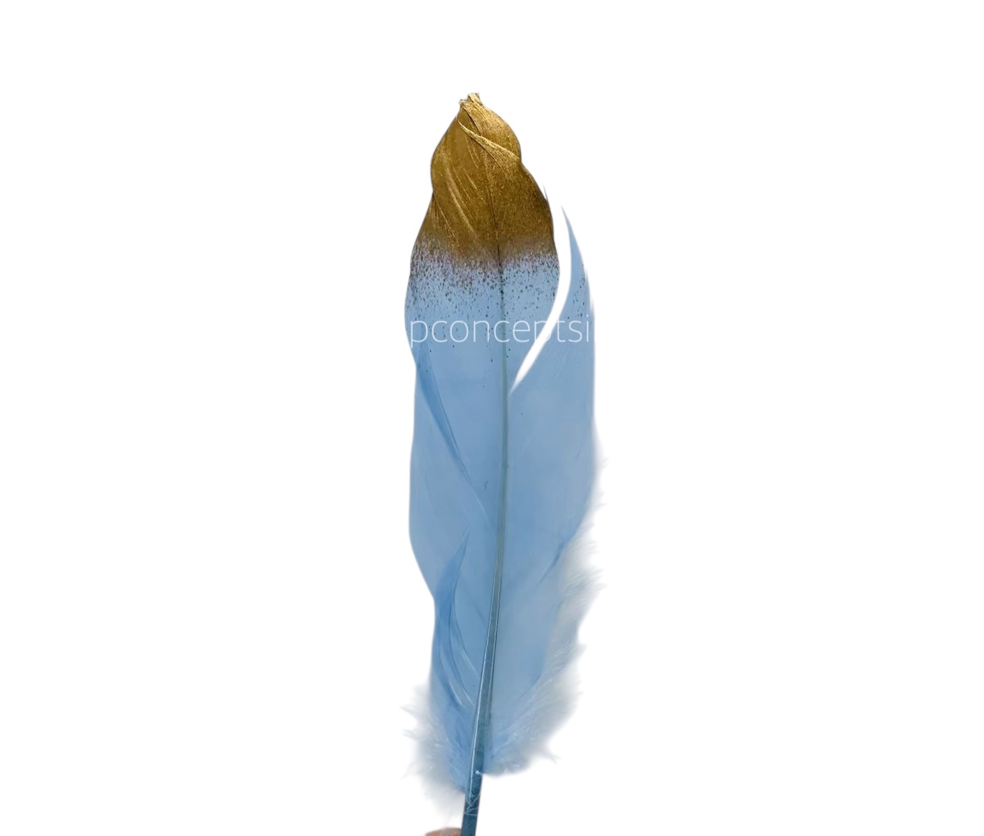Faux Feather with Gold Edges