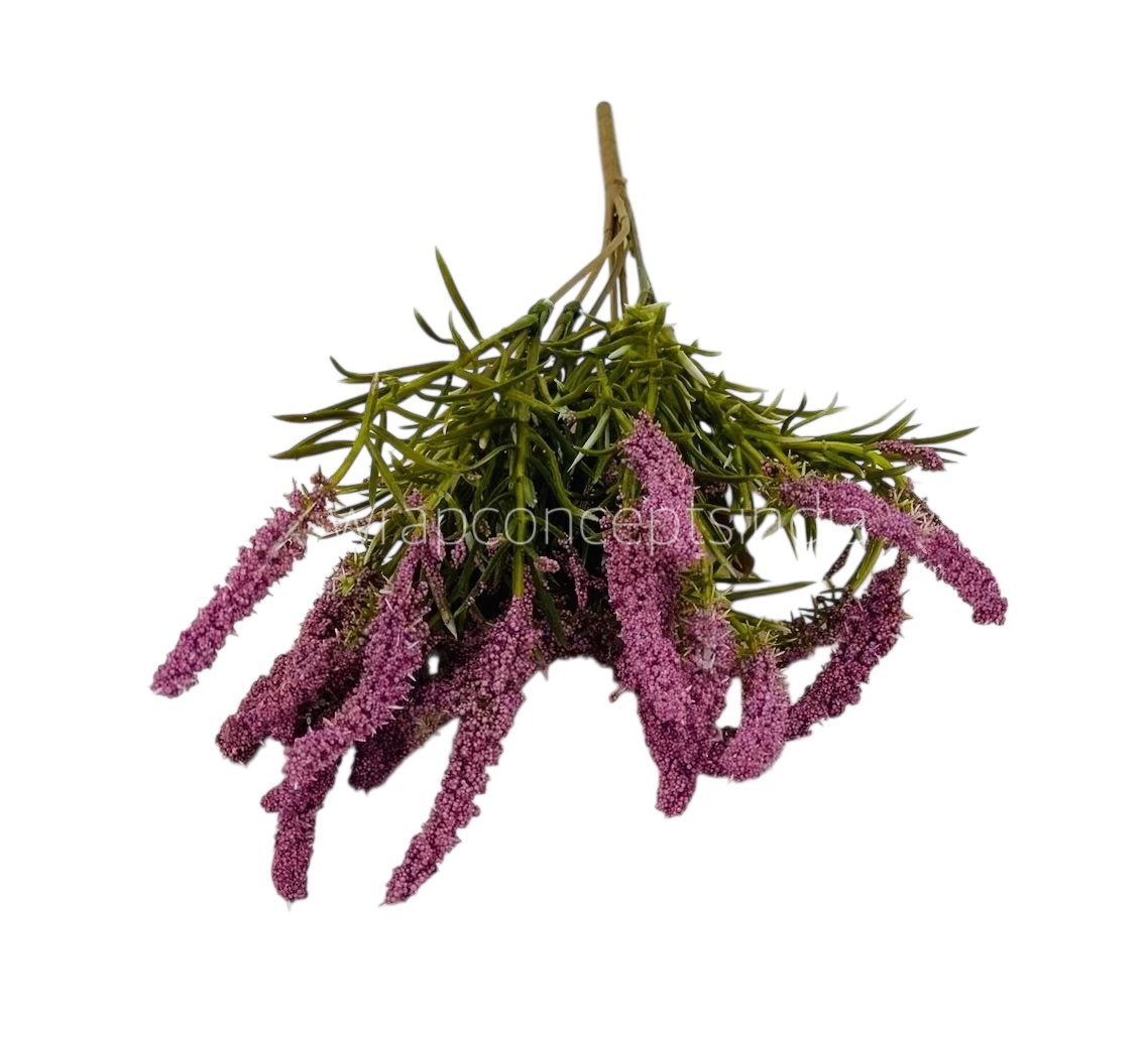 Leaves Bunch with Frosted Conifers