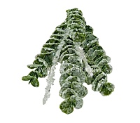 Glitter Eucalyptus - Multicolor